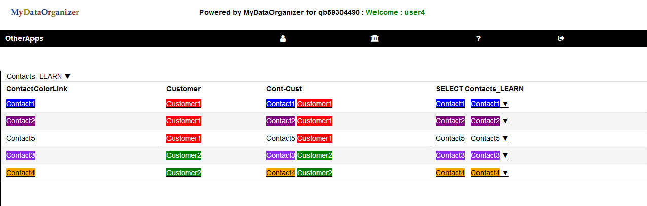 MyDataOrganizer Live Demo Customers Contacts App